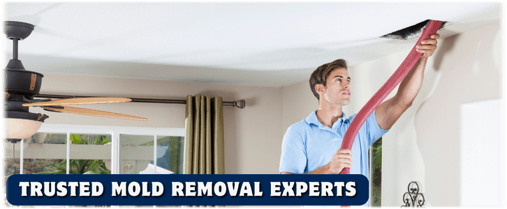Air Duct Mold Removal in West Chester